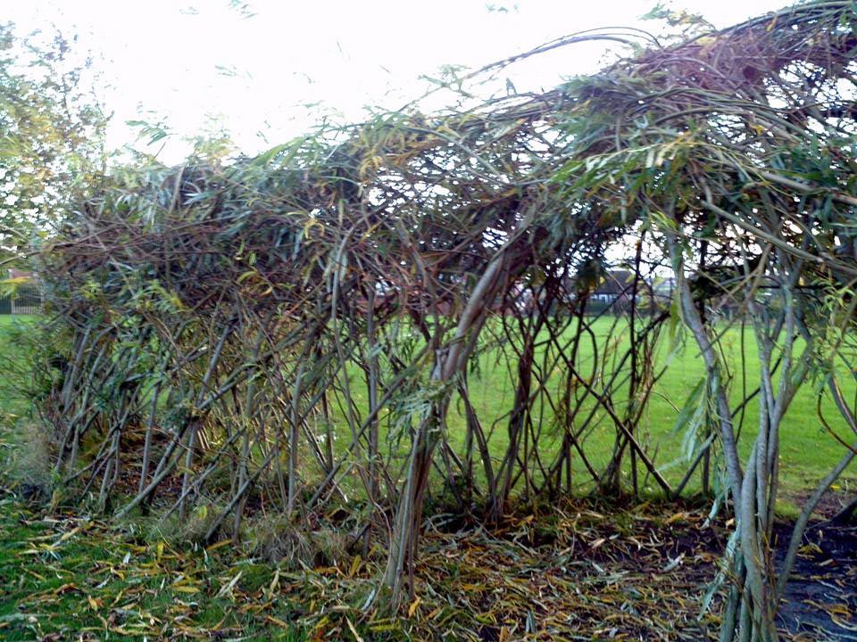 Primary School Willow Walk