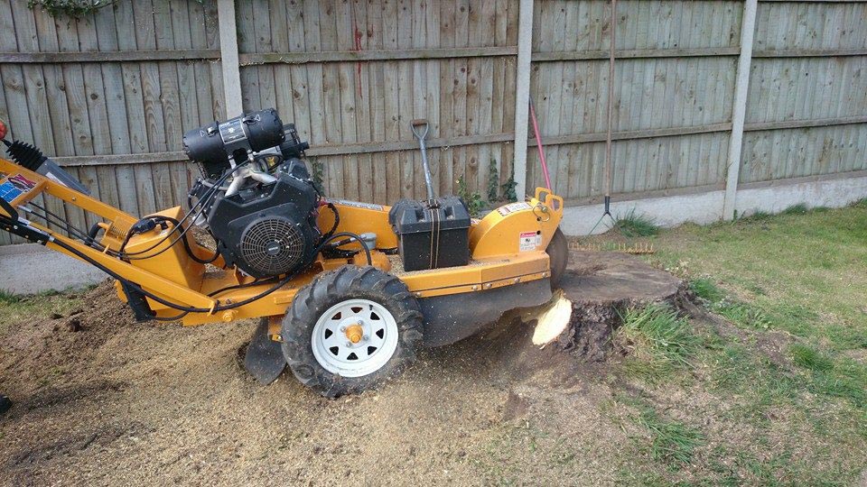 Stump Grinding